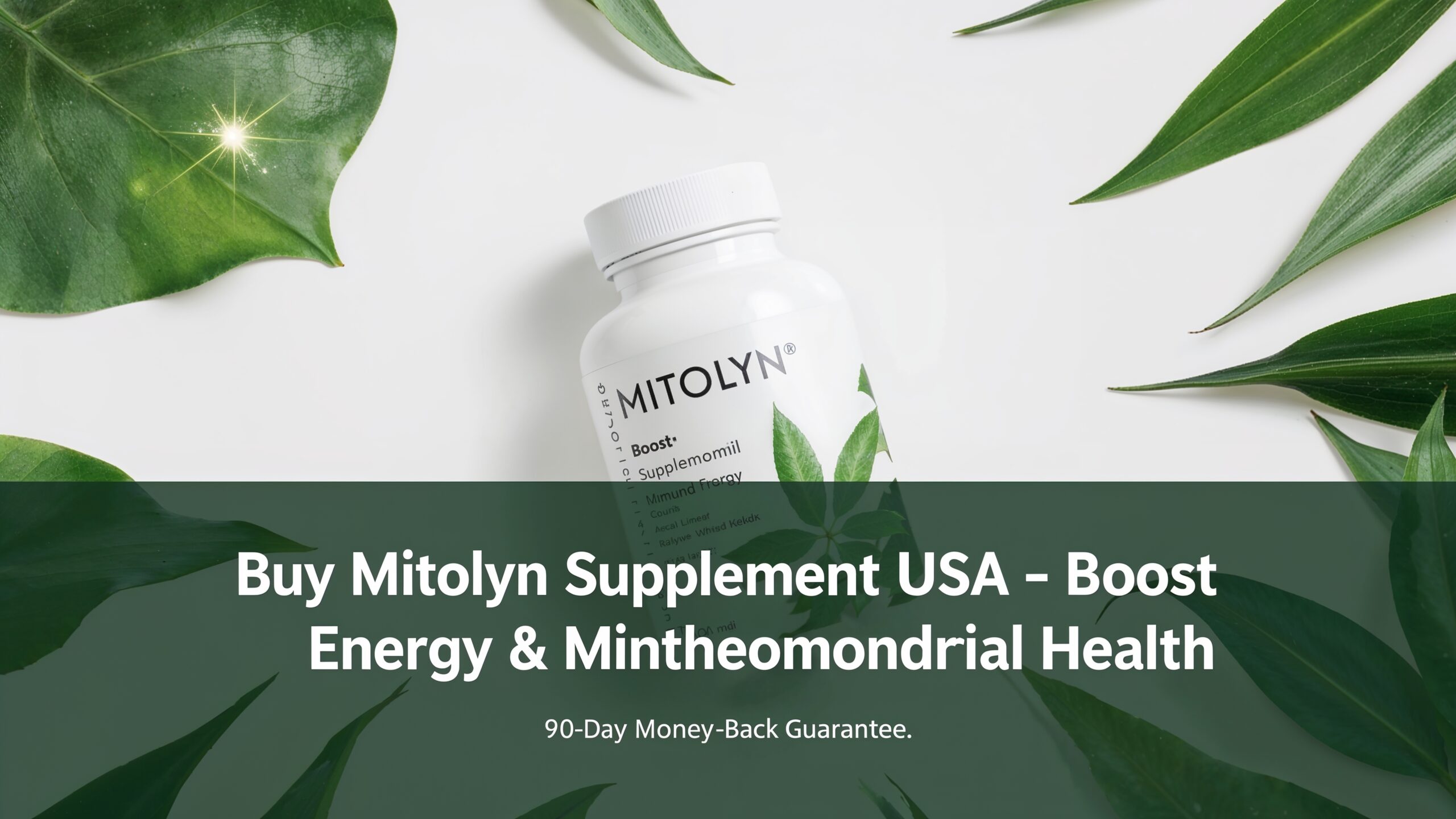 Buy Mitolyn Supplement USA